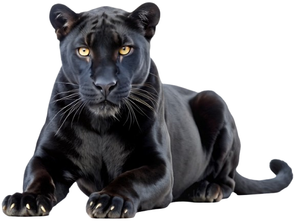 Long Term Restroom Rental in Florida