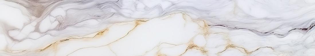 Porta Potty Rentals in Tampa FL