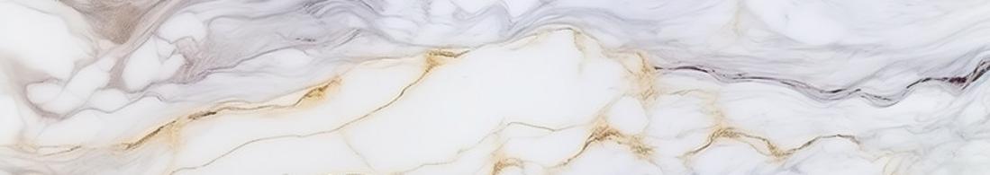 Orlando Bathroom Trailer Rentals in Orlando FL