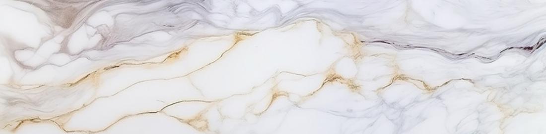 #1 Bathroom Trailer Rental Company